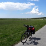 1406F 130 Sylt-Itzehoe